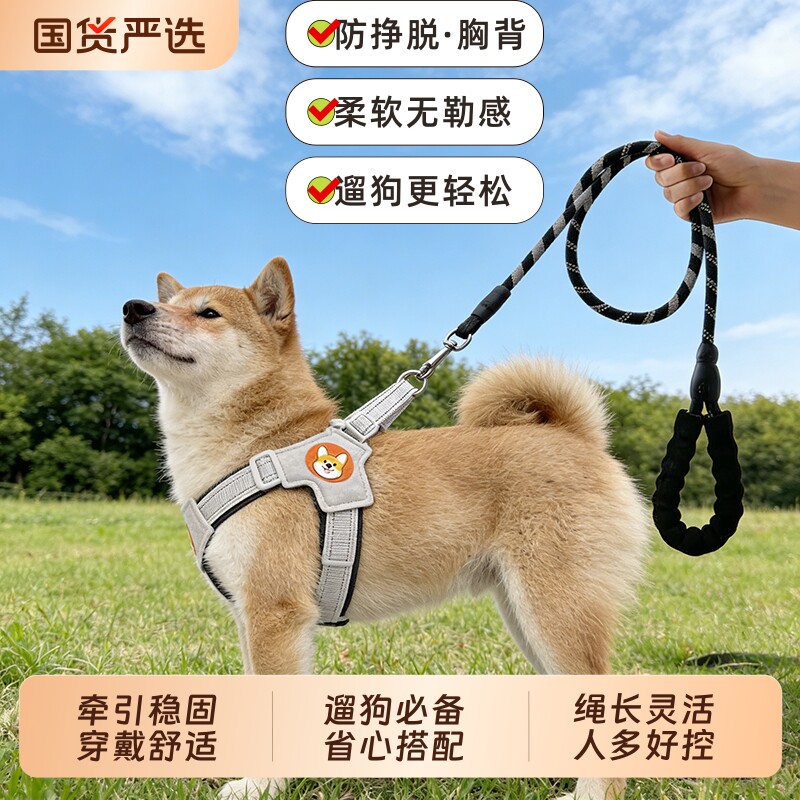 Y-shaped Dog Harness for Medium Breeds, Breathable Pet Traction Leash, Anti-bite and Anti-pull Durable Design