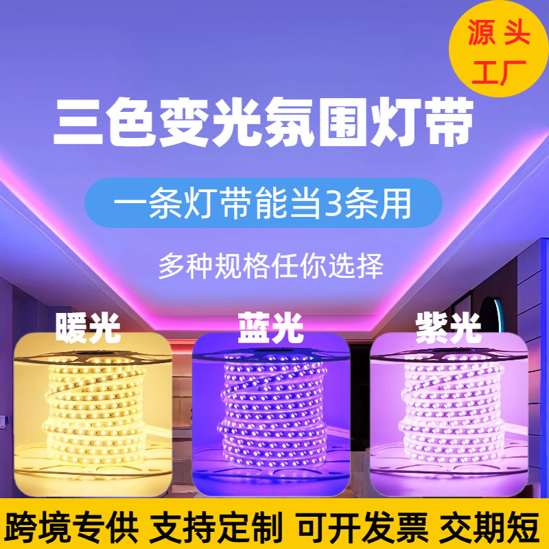 LED 3-Color Dimmable Strip Light, Export Edition 220V Indoor Ceiling New Year Atmosphere Super Bright Outdoor Waterproof Light Strip